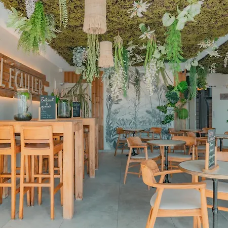 Edenia - Estime & Sens Hotel Carnac